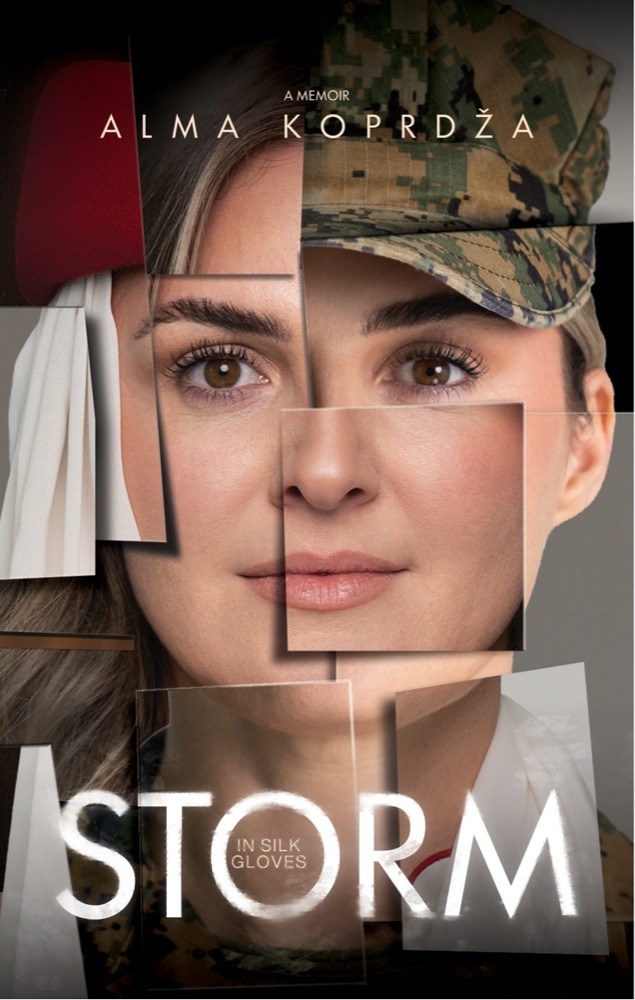 Storm in Silk Gloves — book cover